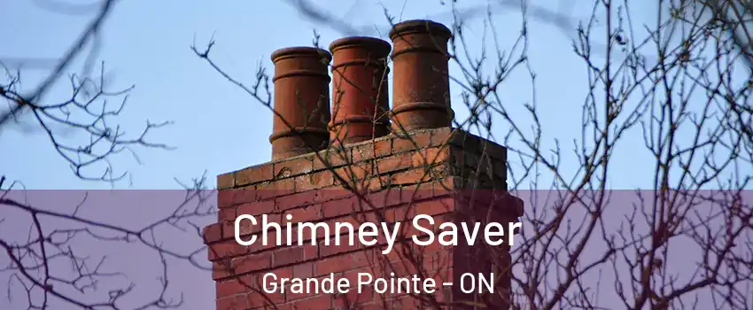  Chimney Saver Grande Pointe - ON