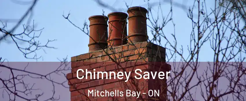 Chimney Saver Mitchells Bay - ON