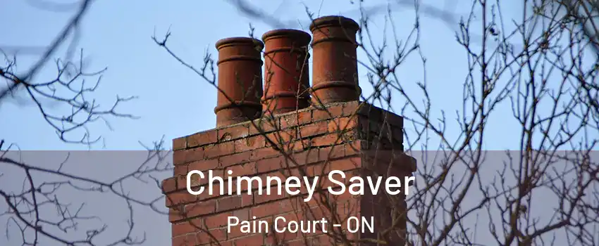 Chimney Saver Pain Court - ON