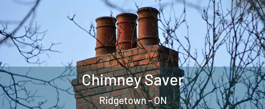  Chimney Saver Ridgetown - ON