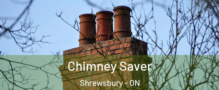  Chimney Saver Shrewsbury - ON
