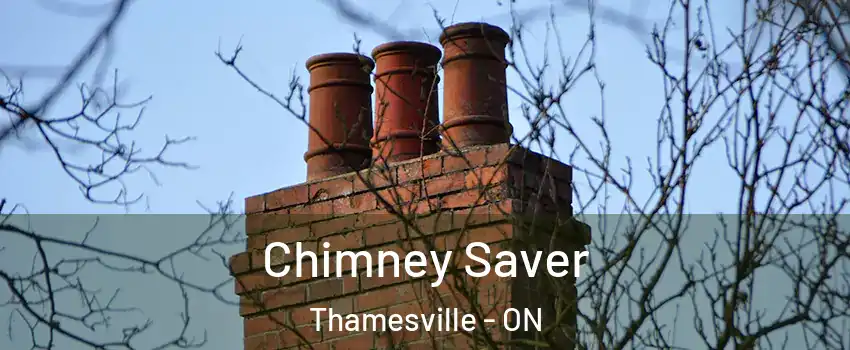  Chimney Saver Thamesville - ON