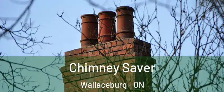  Chimney Saver Wallaceburg - ON