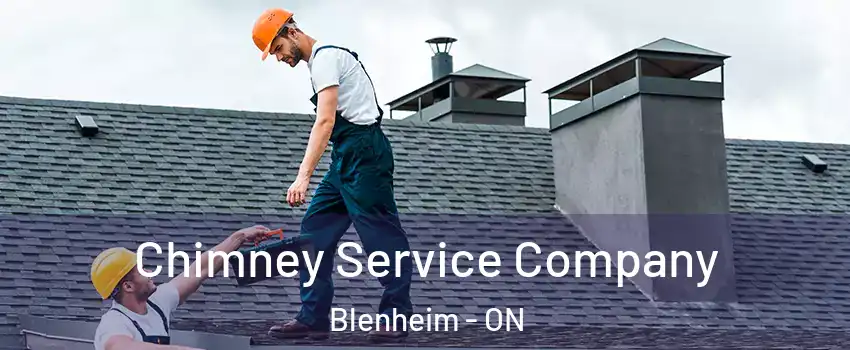  Chimney Service Company Blenheim - ON