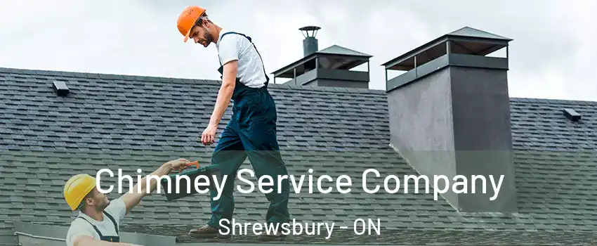  Chimney Service Company Shrewsbury - ON