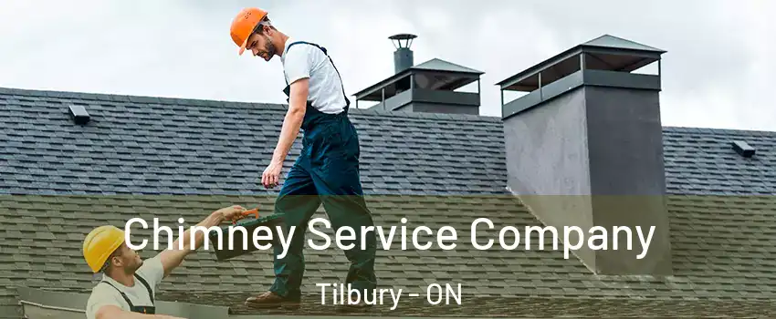  Chimney Service Company Tilbury - ON