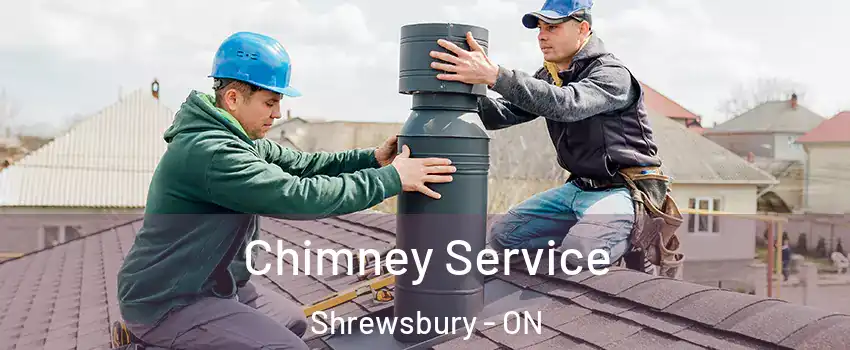  Chimney Service Shrewsbury - ON