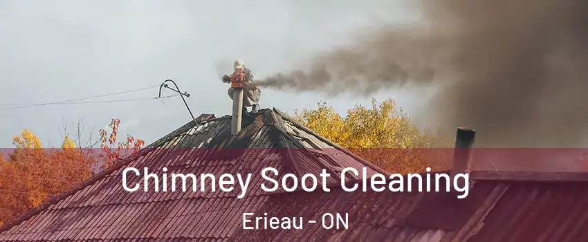  Chimney Soot Cleaning Erieau - ON
