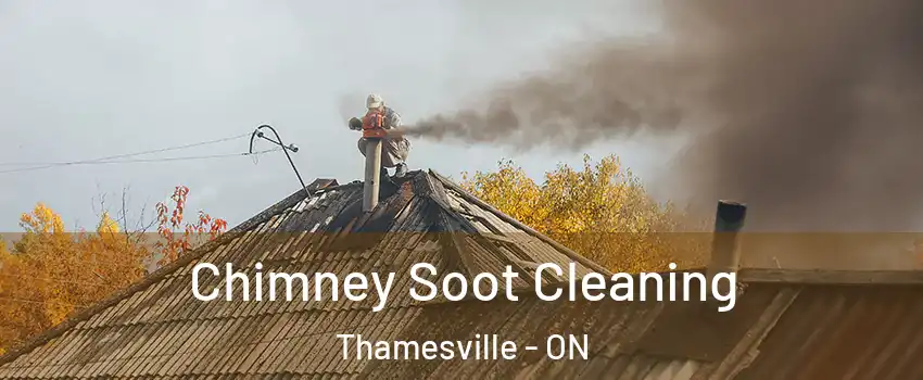  Chimney Soot Cleaning Thamesville - ON