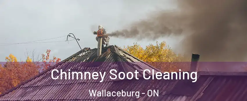 Chimney Soot Cleaning Wallaceburg - ON