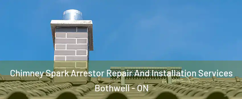  Chimney Spark Arrestor Repair And Installation Services Bothwell - ON