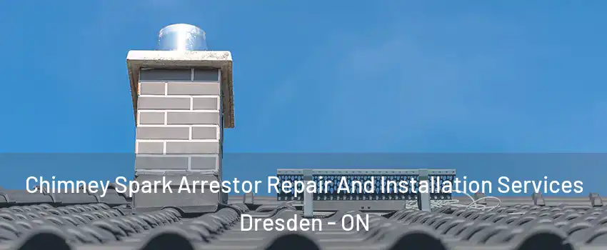  Chimney Spark Arrestor Repair And Installation Services Dresden - ON