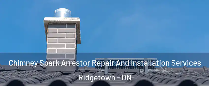  Chimney Spark Arrestor Repair And Installation Services Ridgetown - ON