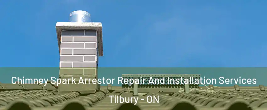 Chimney Spark Arrestor Repair And Installation Services Tilbury - ON