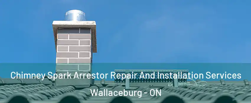  Chimney Spark Arrestor Repair And Installation Services Wallaceburg - ON