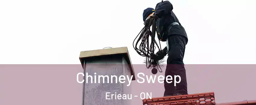  Chimney Sweep Erieau - ON