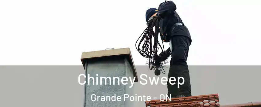  Chimney Sweep Grande Pointe - ON