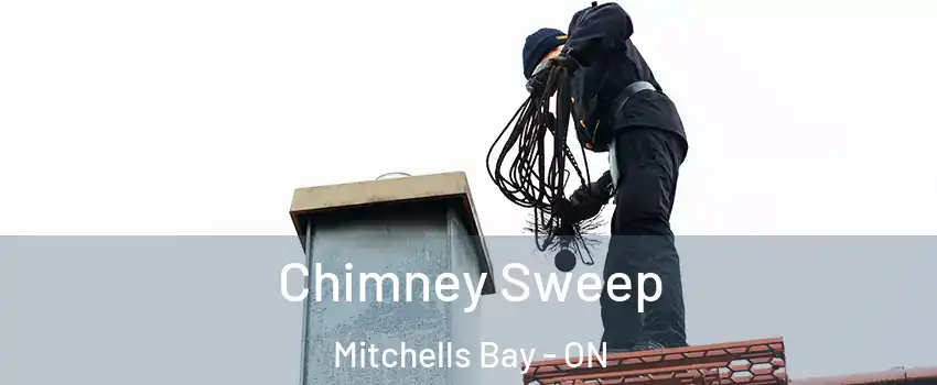  Chimney Sweep Mitchells Bay - ON