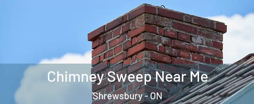  Chimney Sweep Near Me Shrewsbury - ON