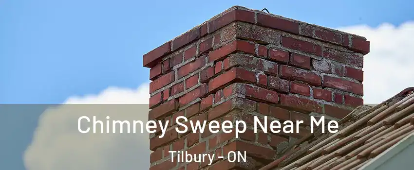  Chimney Sweep Near Me Tilbury - ON