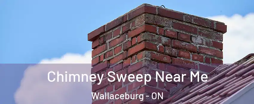  Chimney Sweep Near Me Wallaceburg - ON