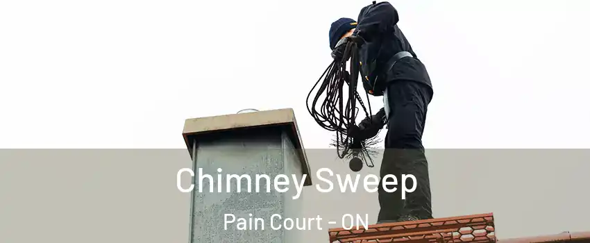  Chimney Sweep Pain Court - ON