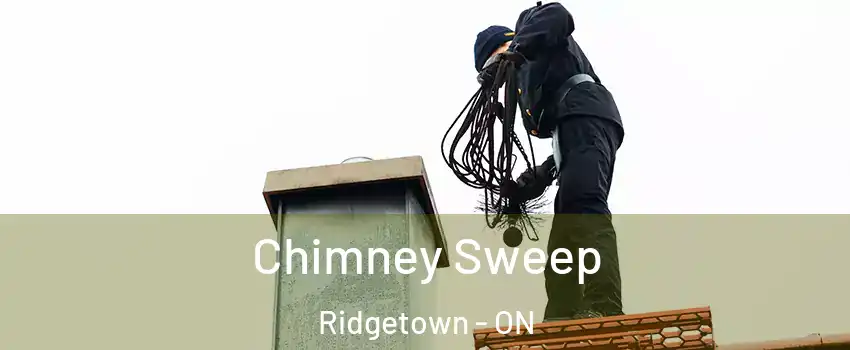  Chimney Sweep Ridgetown - ON