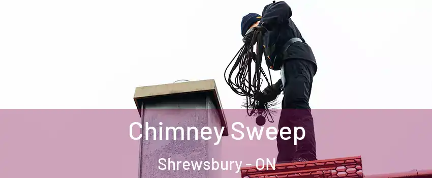 Chimney Sweep Shrewsbury - ON