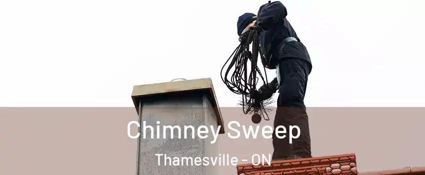  Chimney Sweep Thamesville - ON