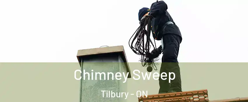  Chimney Sweep Tilbury - ON