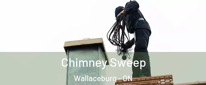  Chimney Sweep Wallaceburg - ON