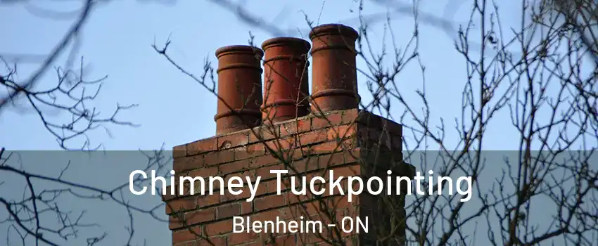  Chimney Tuckpointing Blenheim - ON
