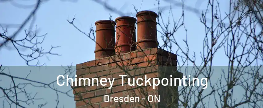  Chimney Tuckpointing Dresden - ON