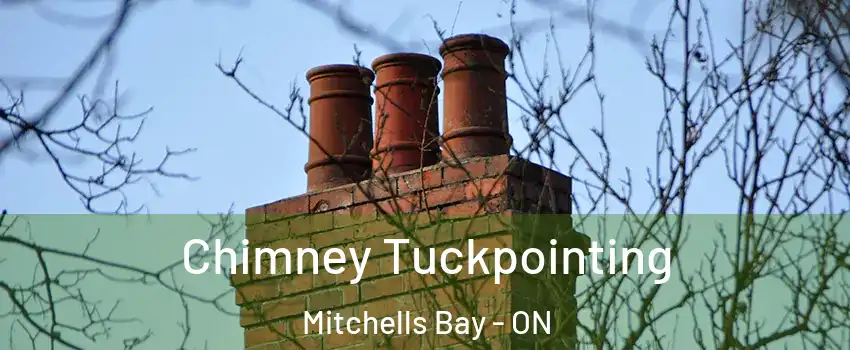  Chimney Tuckpointing Mitchells Bay - ON