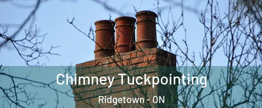  Chimney Tuckpointing Ridgetown - ON