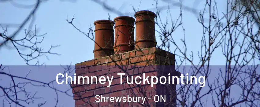  Chimney Tuckpointing Shrewsbury - ON