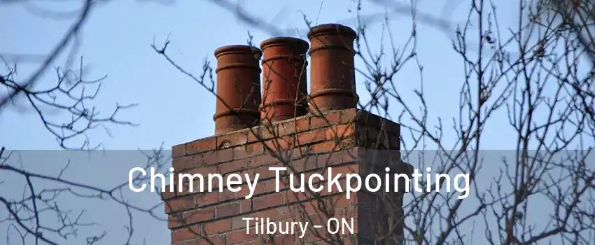  Chimney Tuckpointing Tilbury - ON