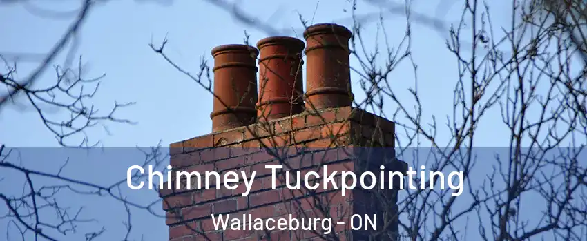  Chimney Tuckpointing Wallaceburg - ON