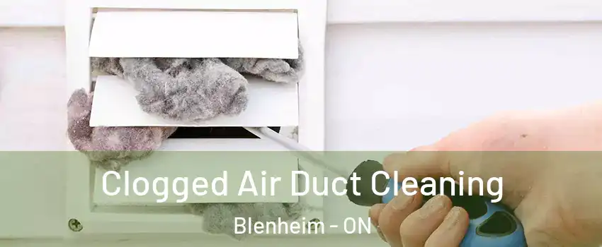  Clogged Air Duct Cleaning Blenheim - ON