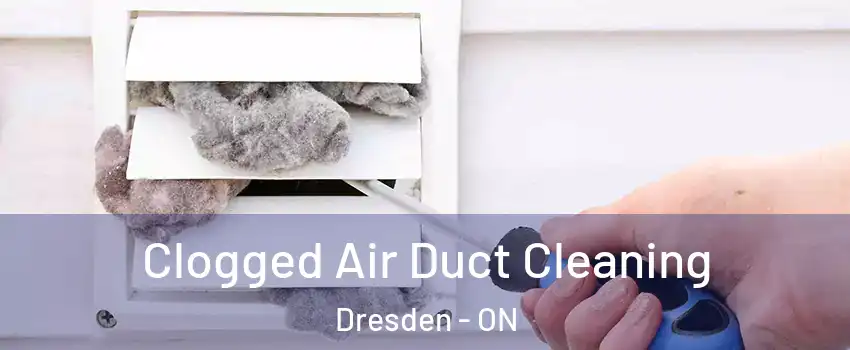  Clogged Air Duct Cleaning Dresden - ON