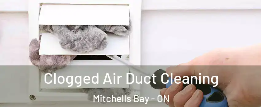 Clogged Air Duct Cleaning Mitchells Bay - ON