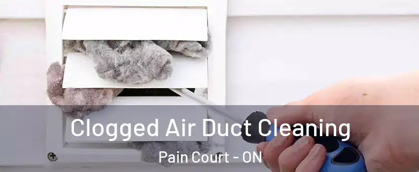  Clogged Air Duct Cleaning Pain Court - ON
