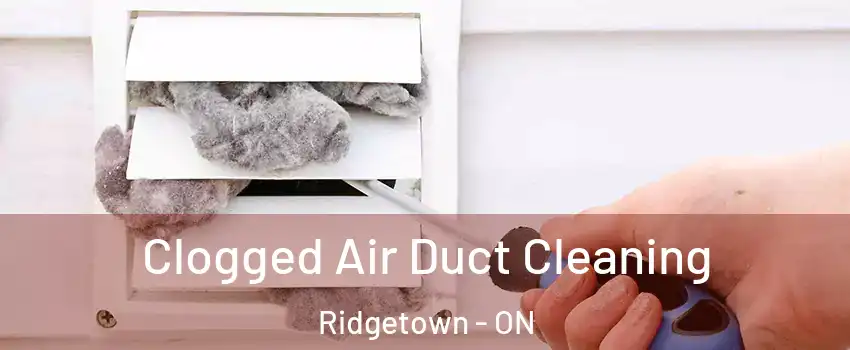  Clogged Air Duct Cleaning Ridgetown - ON