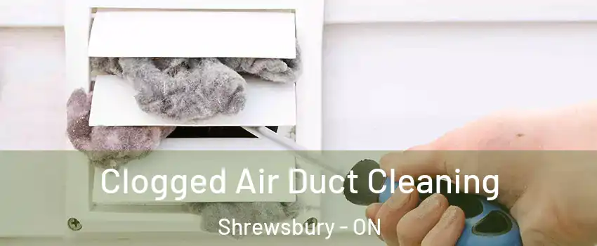  Clogged Air Duct Cleaning Shrewsbury - ON