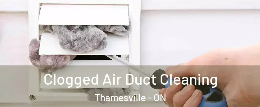  Clogged Air Duct Cleaning Thamesville - ON