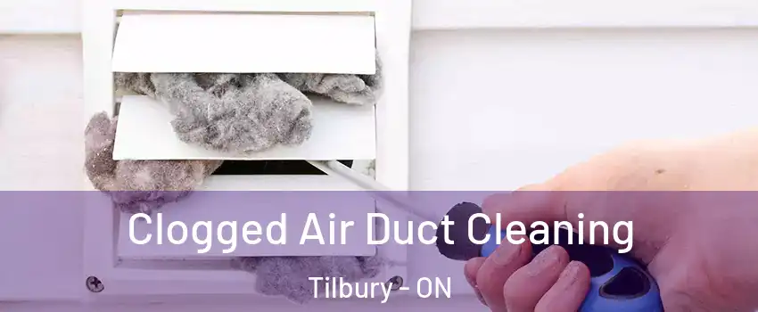  Clogged Air Duct Cleaning Tilbury - ON