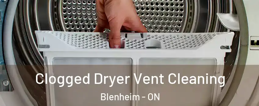  Clogged Dryer Vent Cleaning Blenheim - ON