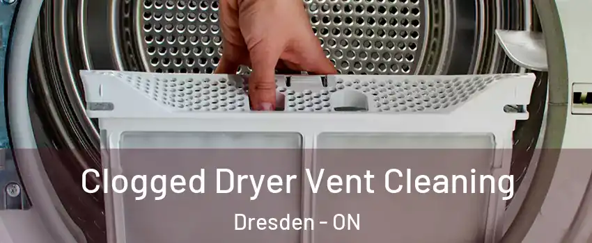  Clogged Dryer Vent Cleaning Dresden - ON