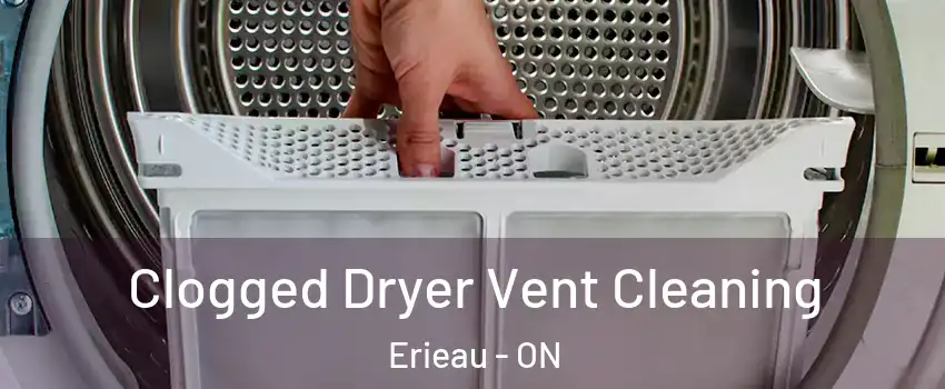  Clogged Dryer Vent Cleaning Erieau - ON