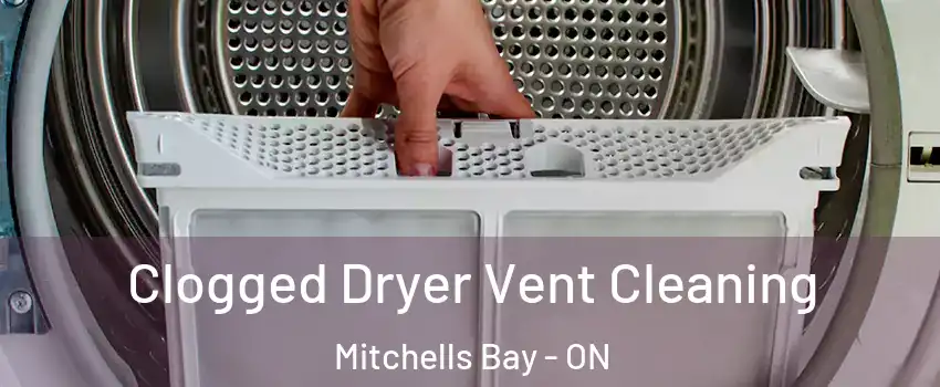  Clogged Dryer Vent Cleaning Mitchells Bay - ON